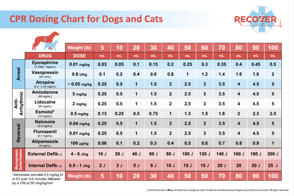 2024 Algorithms & Drug Charts - RECOVER Initiative