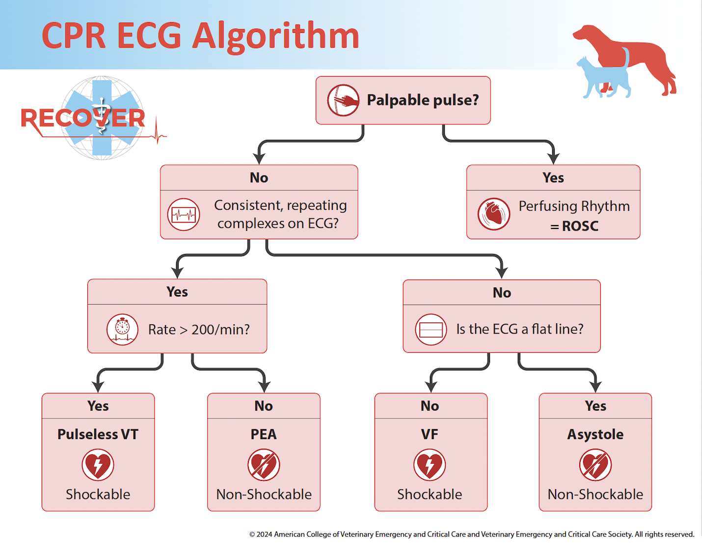 CPR ECG Alogrithm