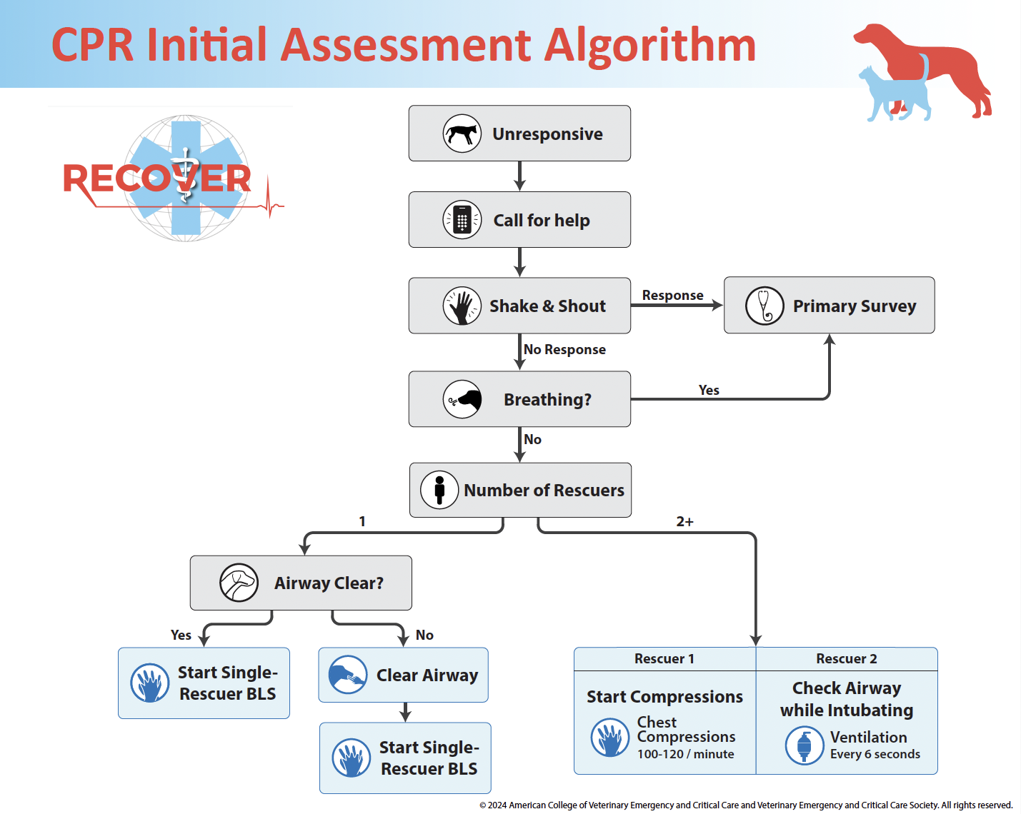 CPR Initial Assessment Algorithm