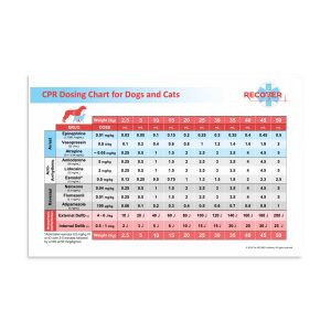 premium luster photo paper poster in x front aefaf