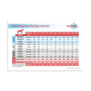 premium luster photo paper poster in x front afea
