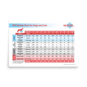 premium luster photo paper poster in x front adbe