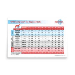 premium luster photo paper poster in x front abfaaa