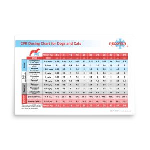 premium luster photo paper poster in x front abbfdc