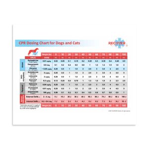 premium luster photo paper poster in x front adb