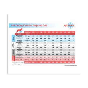 premium luster photo paper poster in x front affdaa