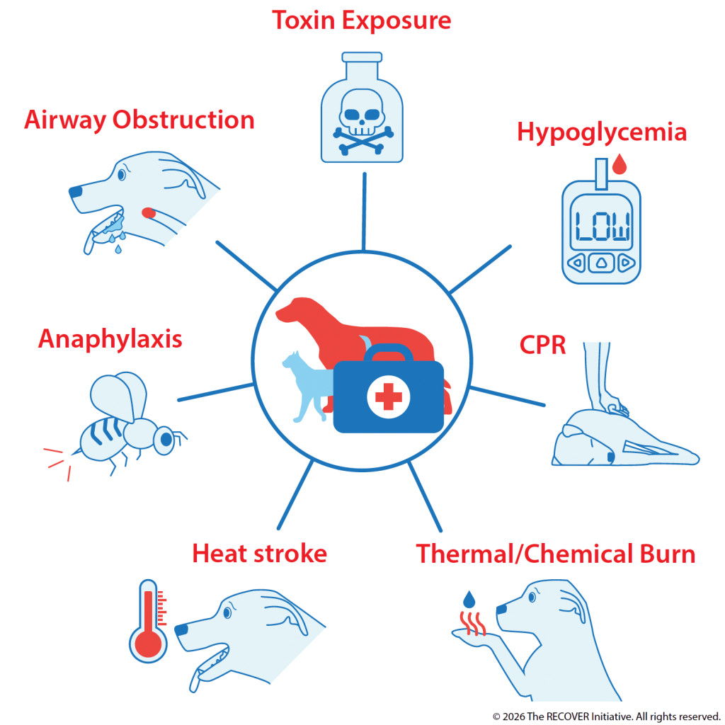 RECOVER First Aid Hub and Spoke